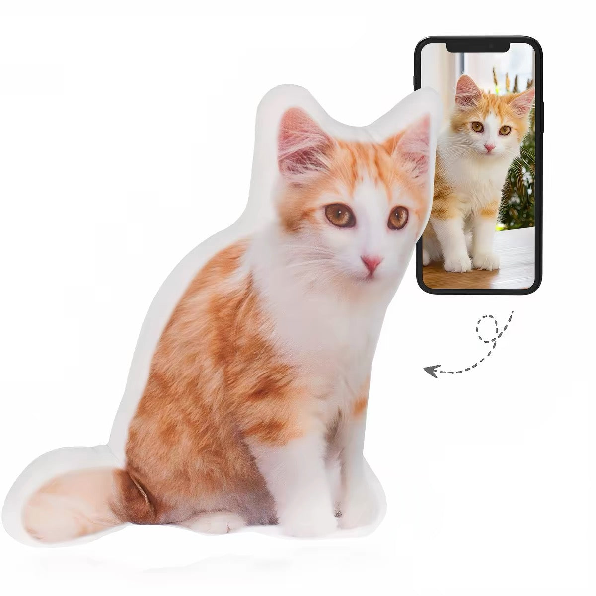 Custom cat photo pillow next to its reference photo