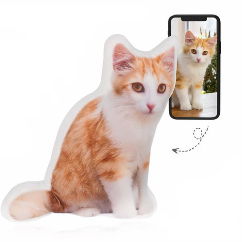 Custom cat photo pillow next to its reference photo
