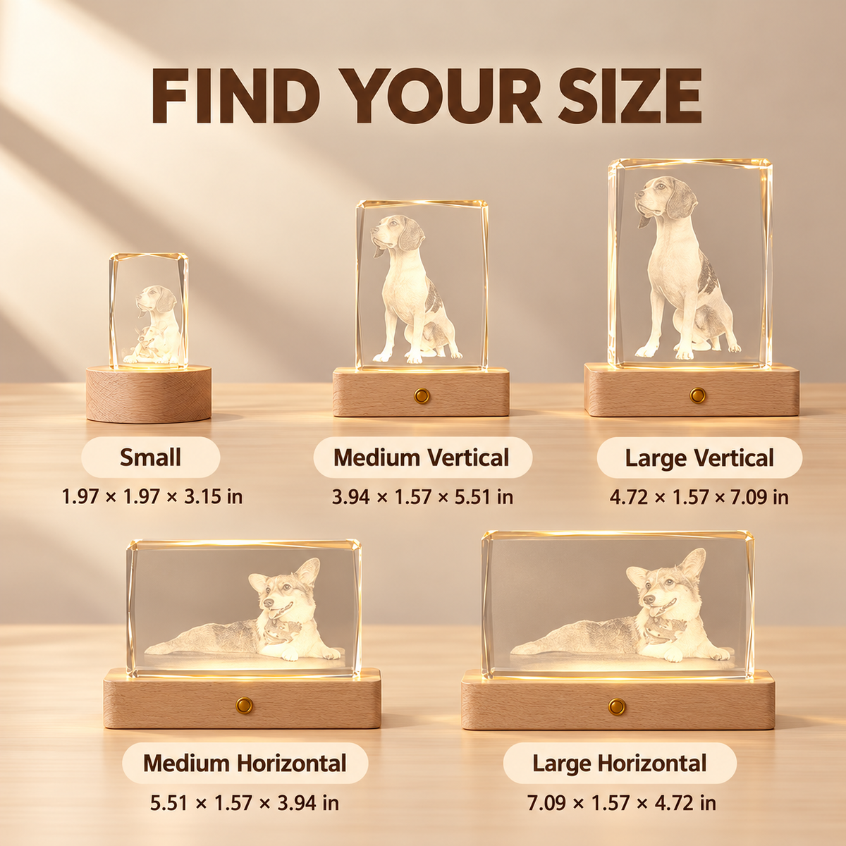 Five engraved pet crystal sizes with dimensions in inches